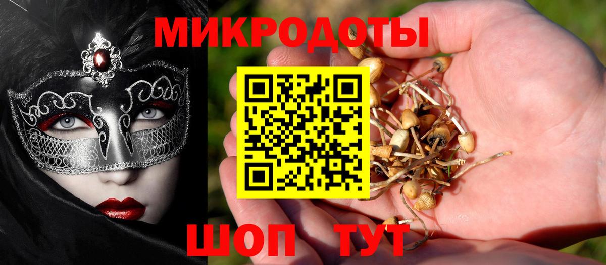 Псилоцибиновые грибы Psilocybe  купить  сайты  Кудымкар  Вход с VPN 